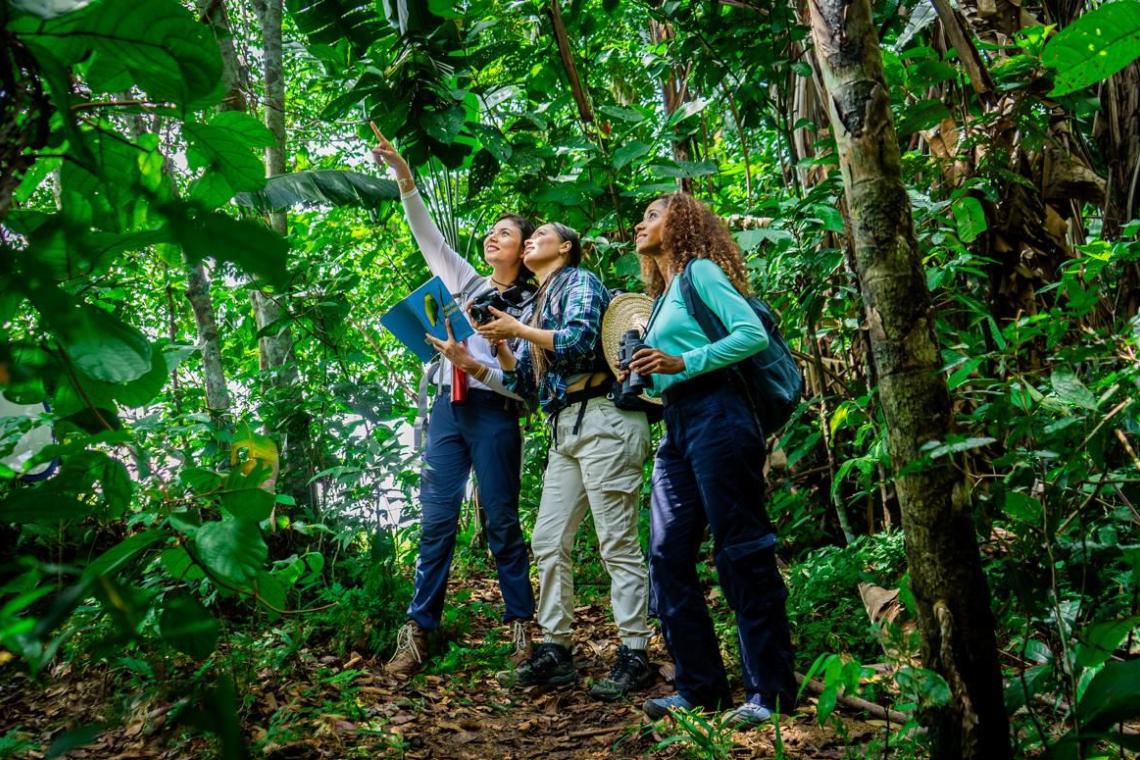 Fontur recaudó más de $72.460 millones de la contribución parafiscal para la Promoción del Turismo, en el primer semestre del año