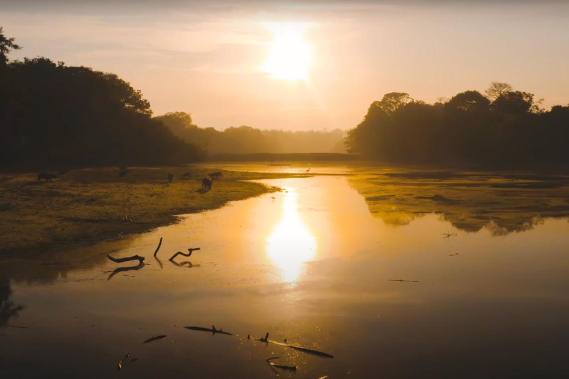 El Ministerio de Comercio, Industria y Turismo y Fontur promueven el turismo de naturaleza y cultural en el departamento de Casanare