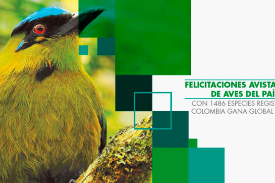 Colombia, protagonista y ganador durante el Global Big Day