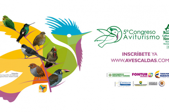 5º Congreso de Aviturismo
