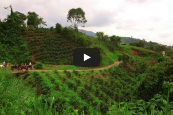 Colombia Realismo Mágico - Mariposas