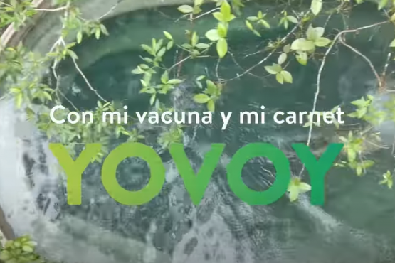 #YOVOY