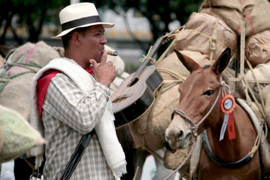 Arriero